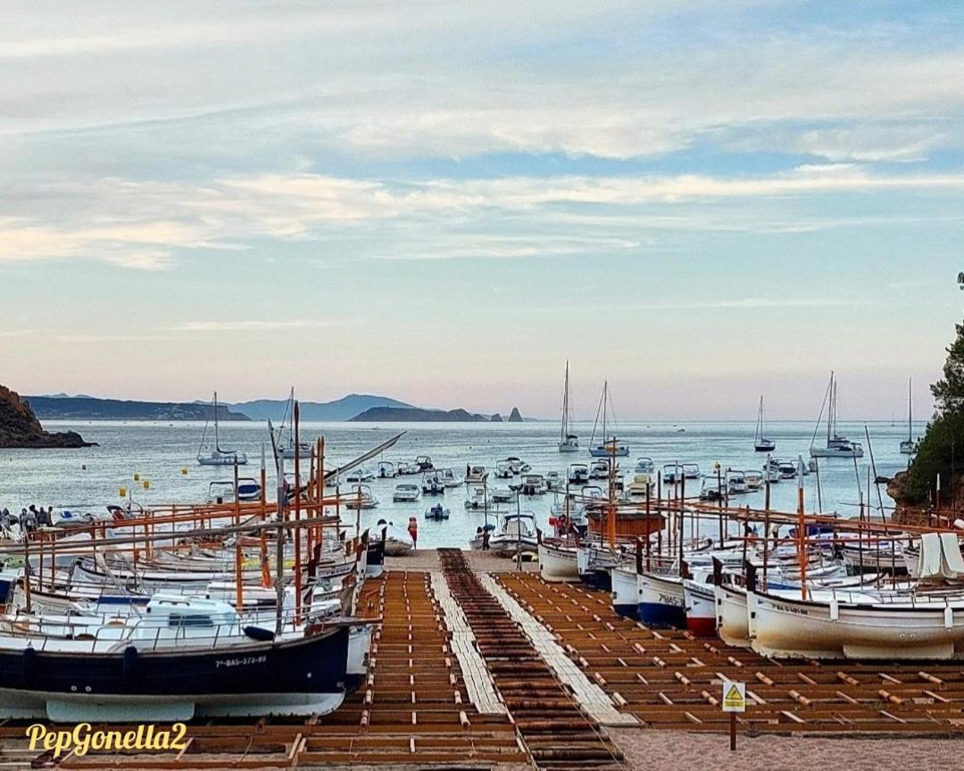 Ap21-Sa Riera Daire Begur Dış mekan fotoğraf